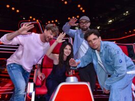 The Voice of Germany 2024 - Die 14. Staffel